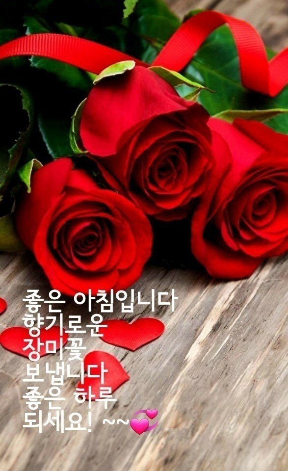 인연 이미지