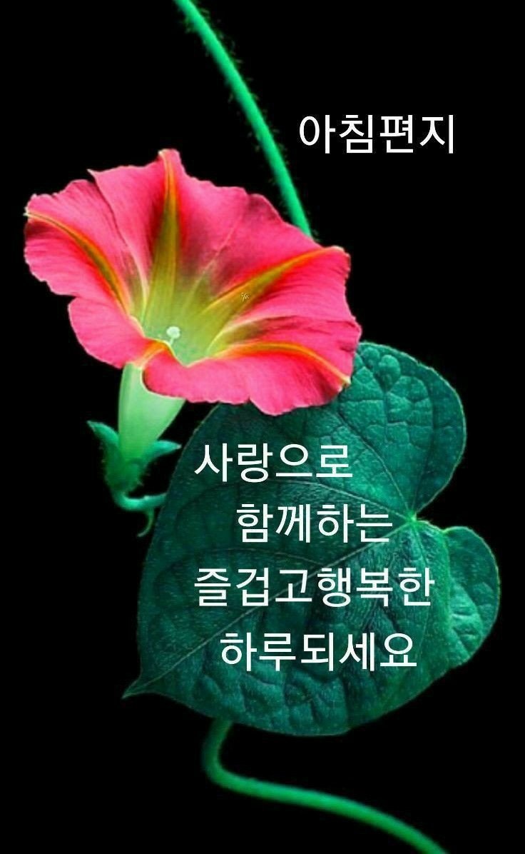 행운 이미지