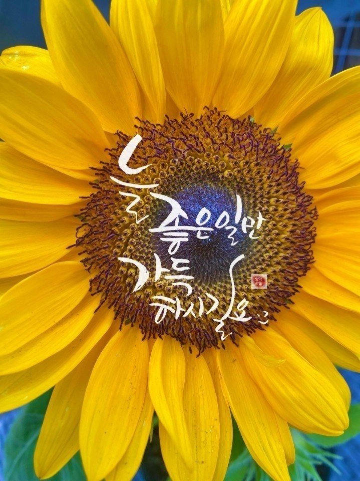 행복가득 이미지