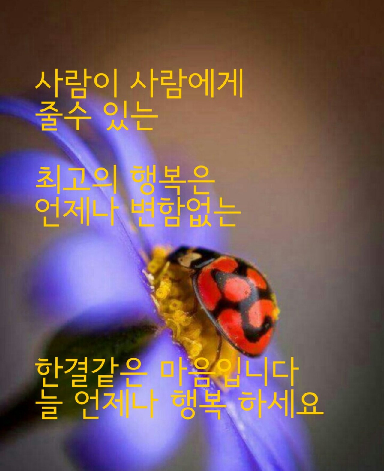 기분좋은하루 이미지