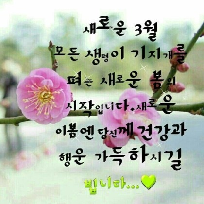 모락모락 이미지