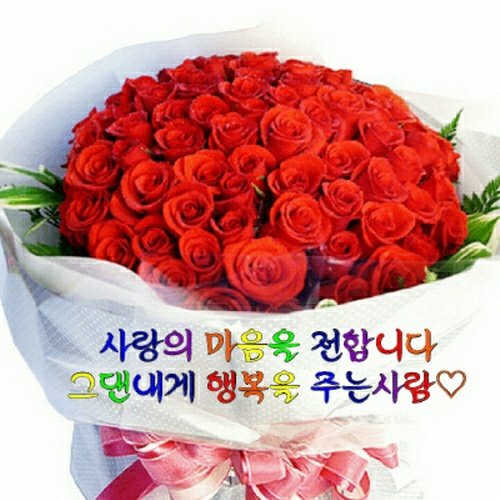 행복한날 이미지