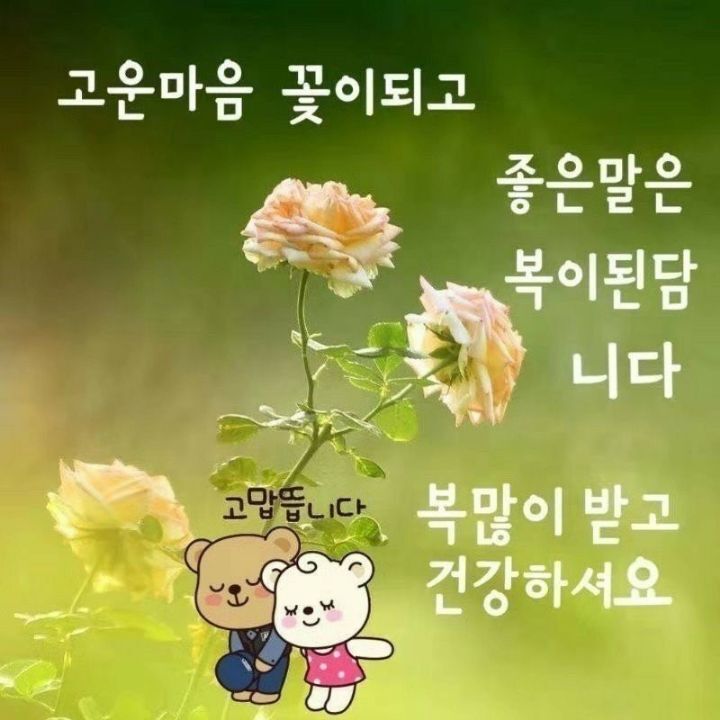 오늘도;예쁜 이미지