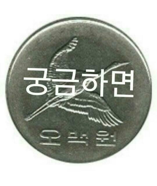 동그라미 공연단 이미지