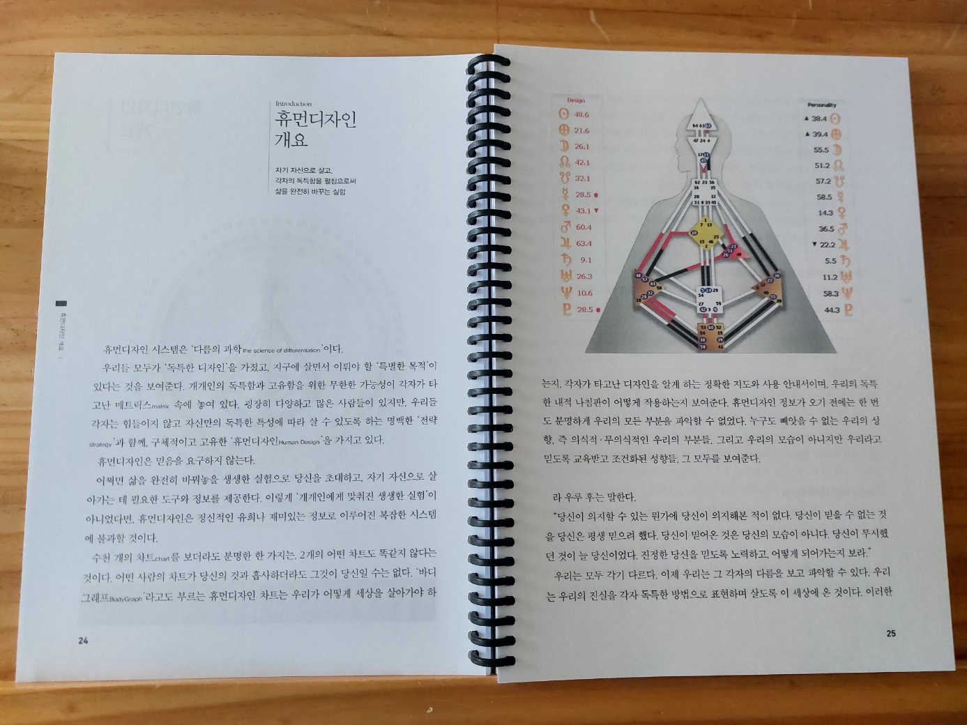 휴먼디자인 이미지