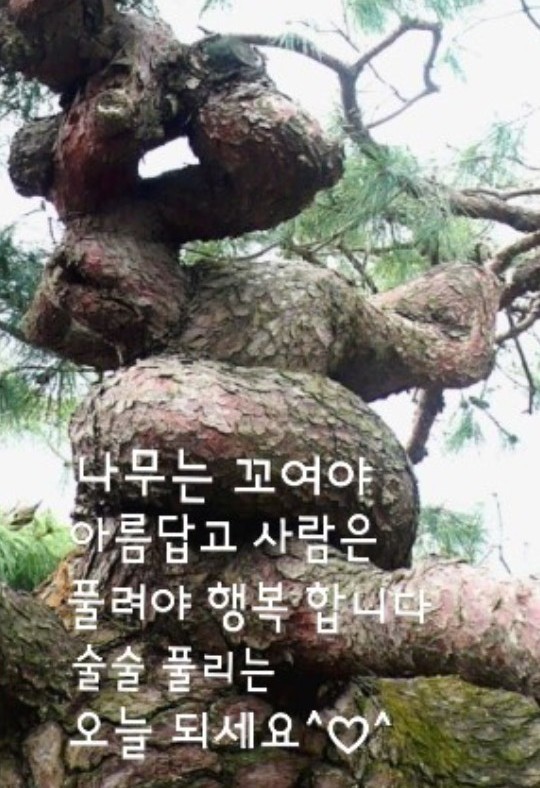 한국학생여행 이미지