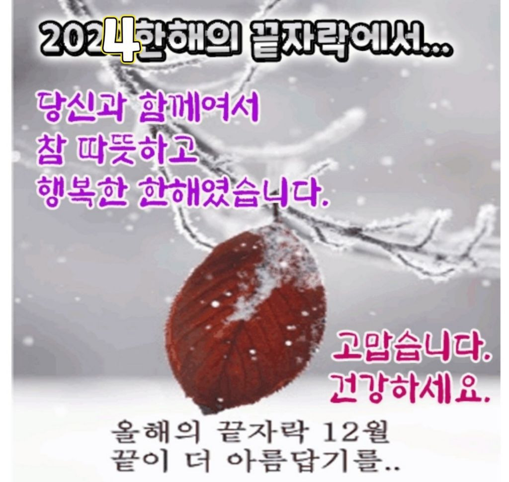 구*송 이미지