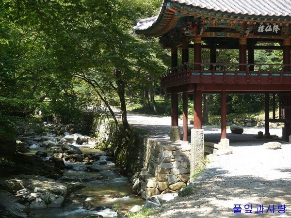 사람과창조 이미지