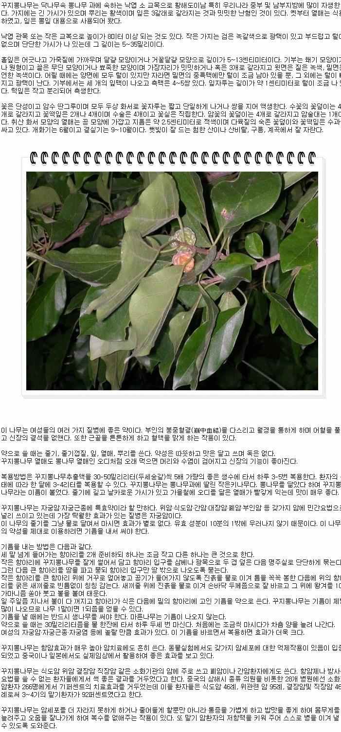 약초이야기 이미지