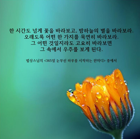눈부신하루를 이미지