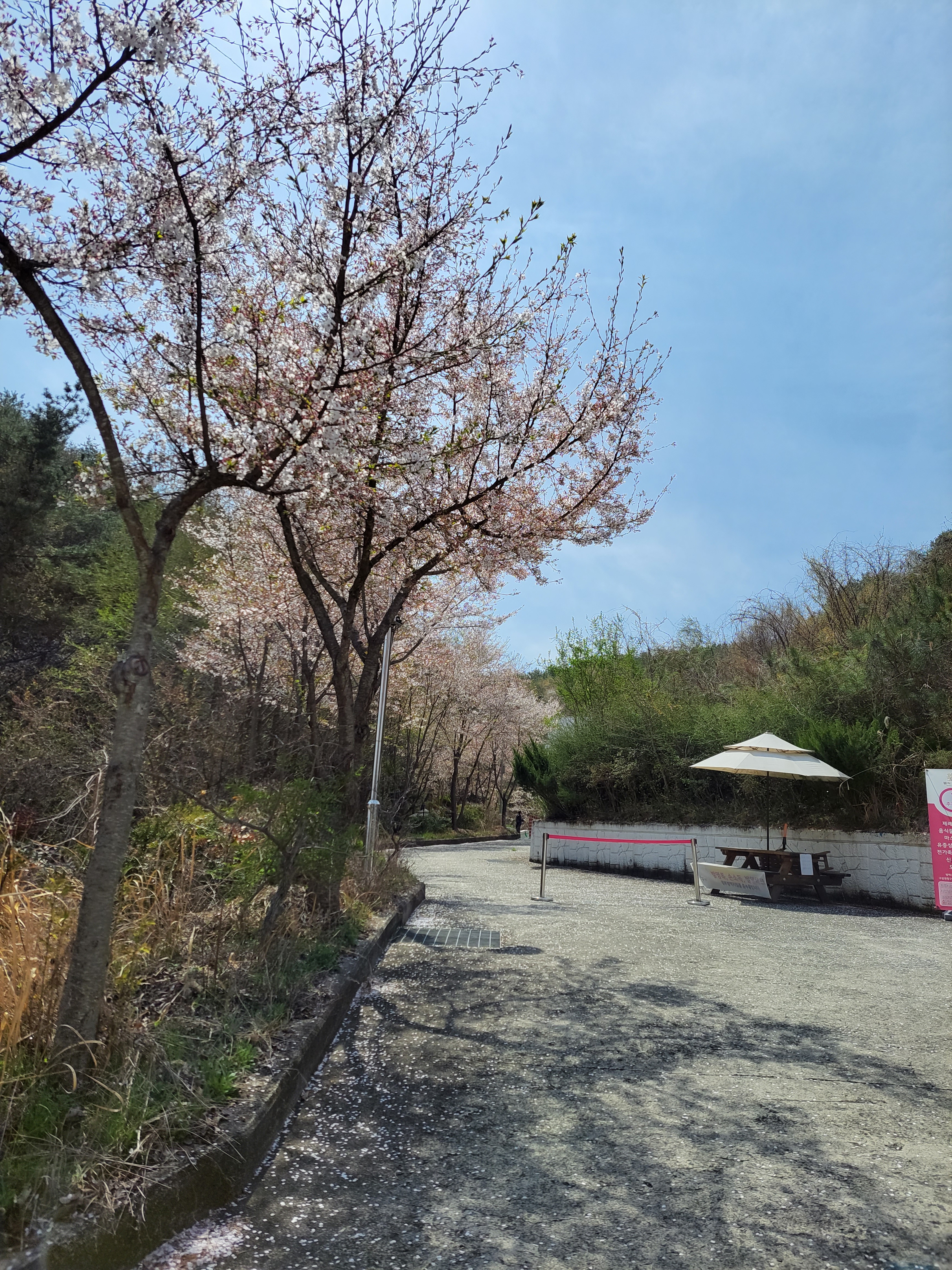 별잎정원 이미지