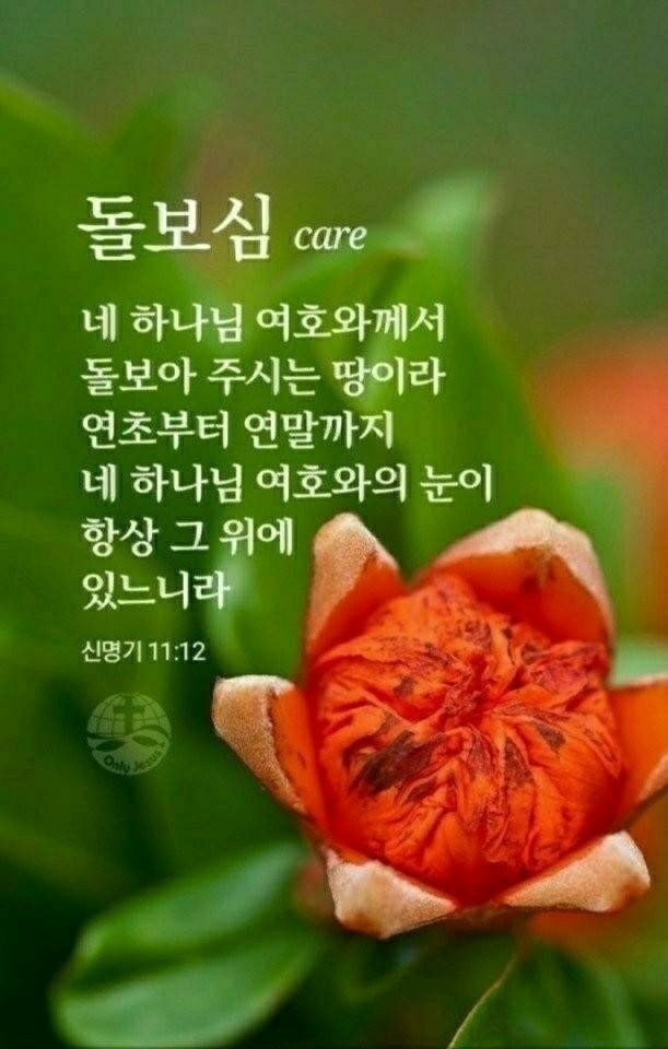 조은손 이미지