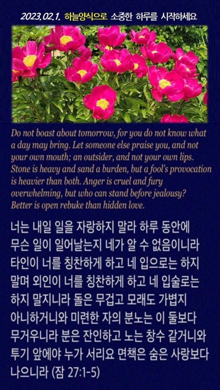더하늘가득 이미지