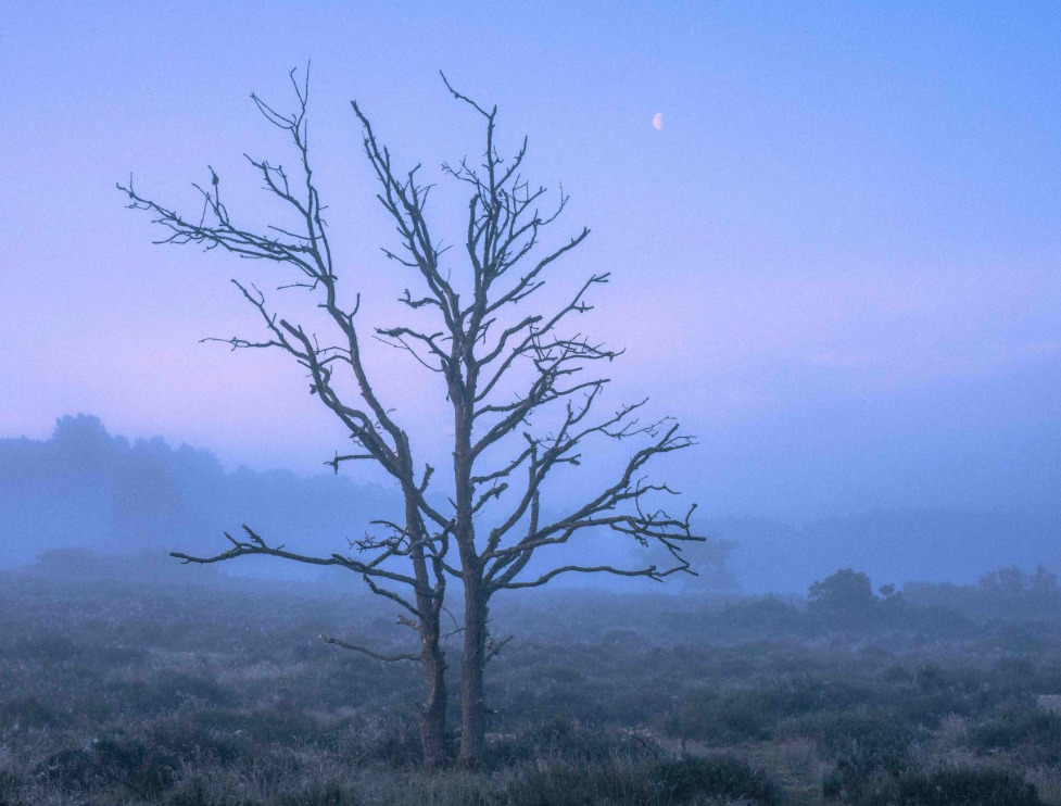 해리포터 홈마 콜린 본체 신기한 근황 | 인스티즈