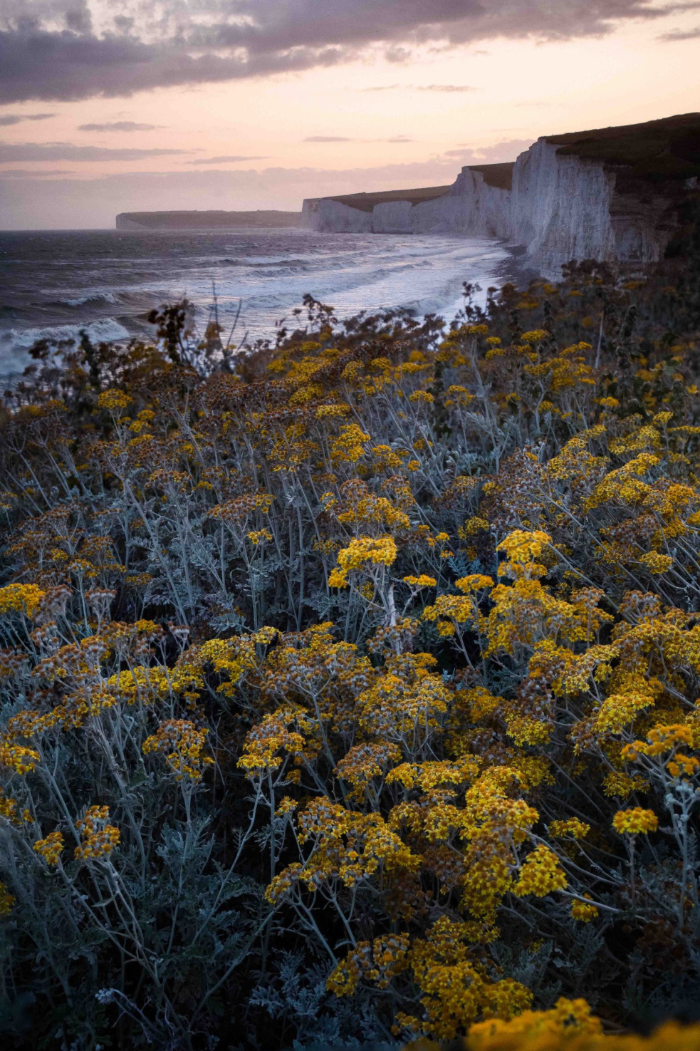 해리포터 홈마 콜린 본체 신기한 근황 | 인스티즈