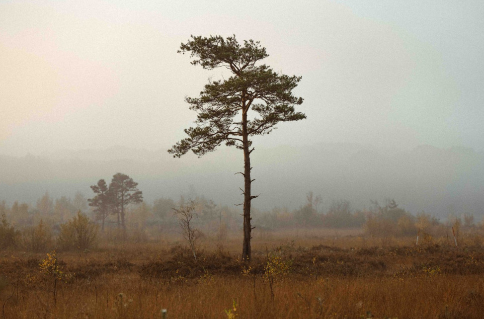 해리포터 홈마 콜린 본체 신기한 근황 | 인스티즈