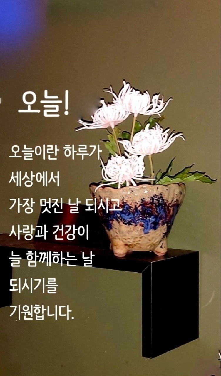 쫑생쫑사당구네 이미지