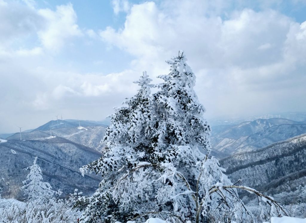 함백산 이미지