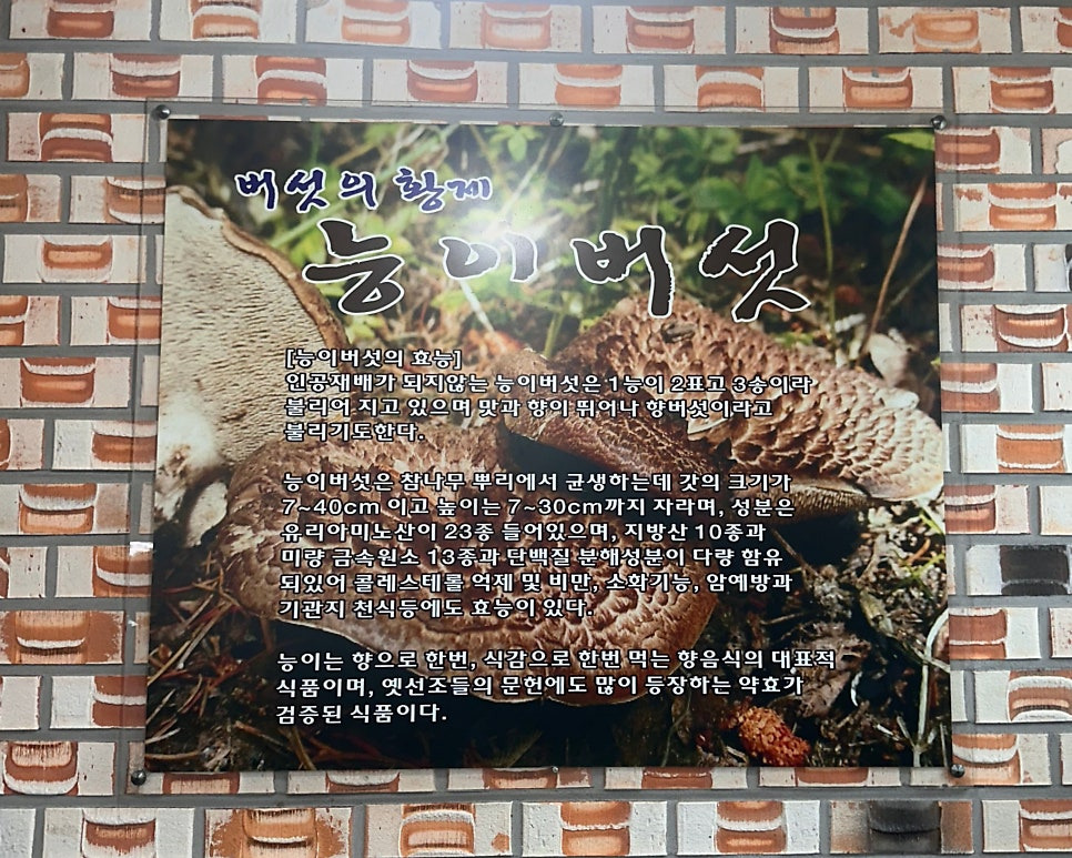 일능이버섯백숙 이미지