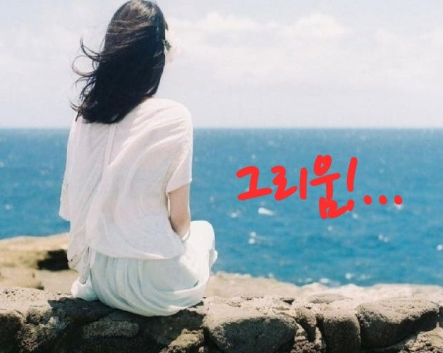 그늘 이미지