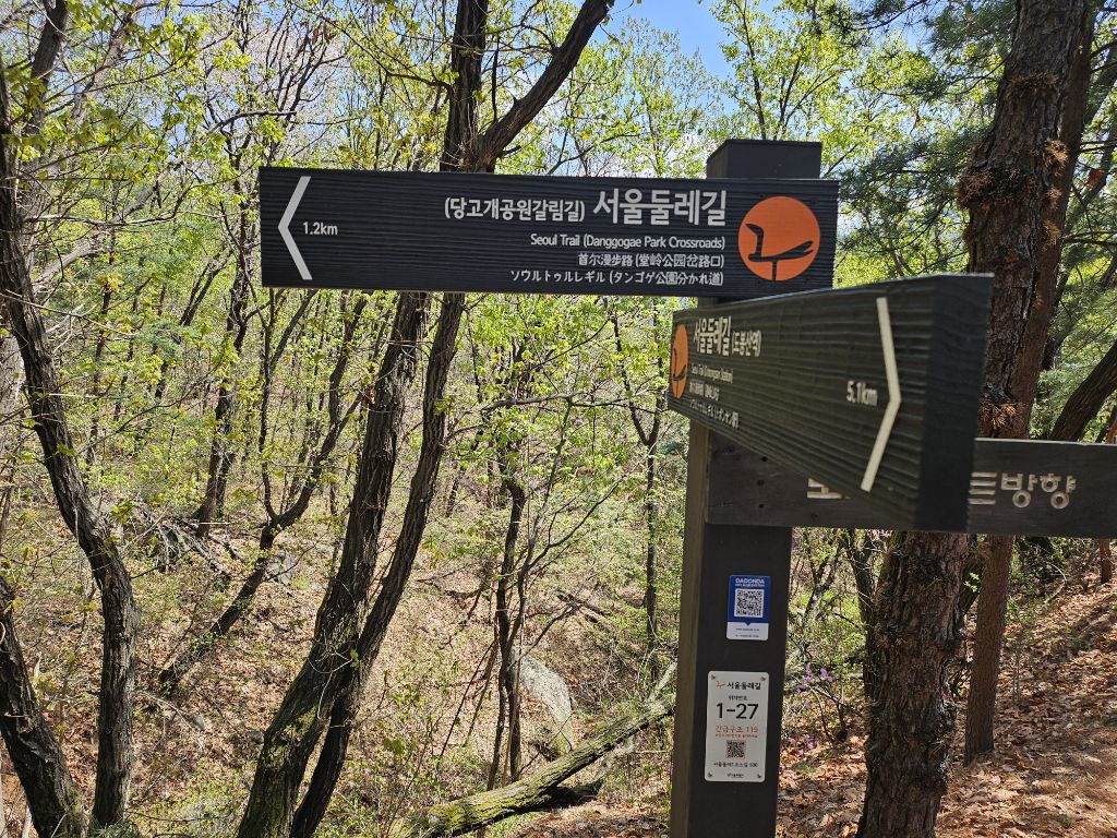 숲속당구 이미지