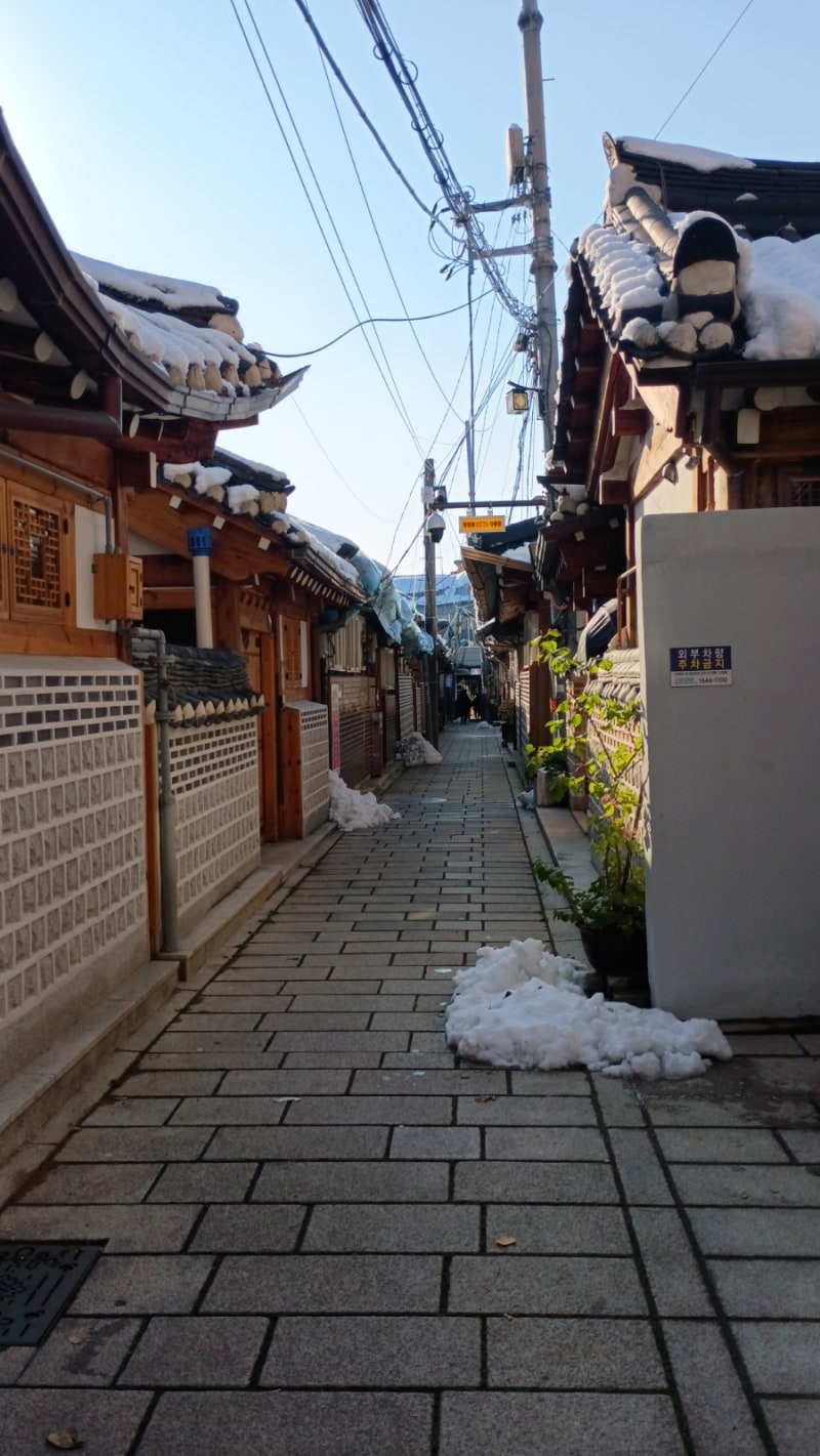 숲길발길 이미지