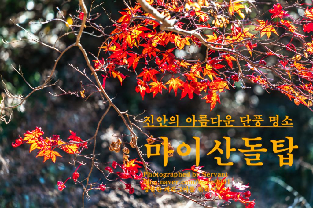 귀자식당 이미지