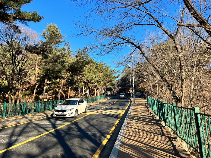 숲길발길 이미지