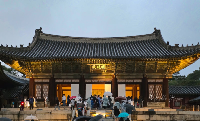 연화 이미지