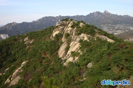 숲길발길 이미지