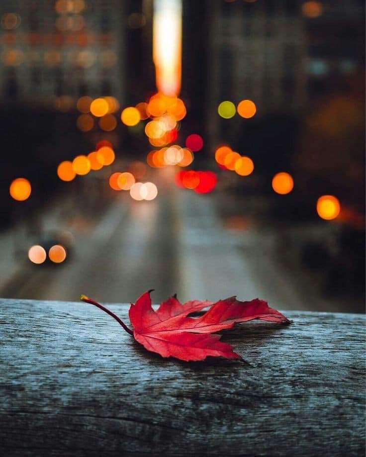 가경 이미지