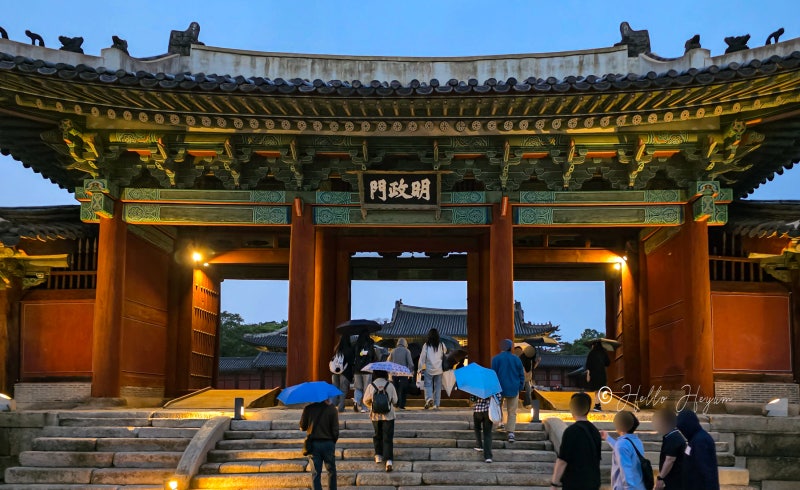 연화 이미지