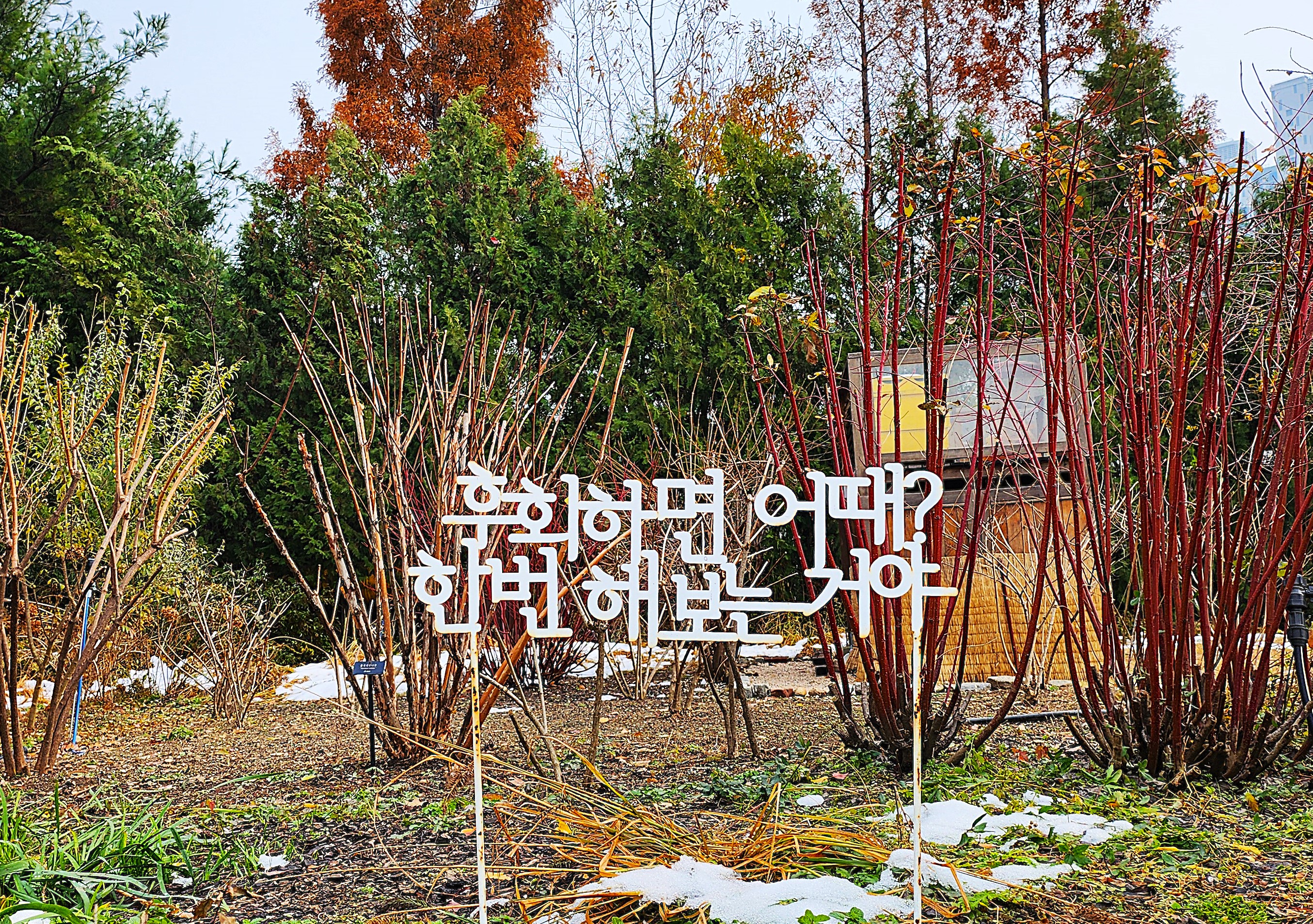 당구사랑 이미지