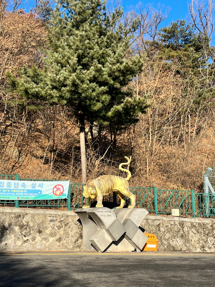 숲길발길 이미지