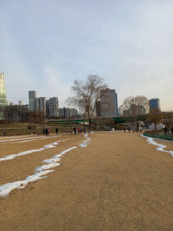 파크골프용품 이미지