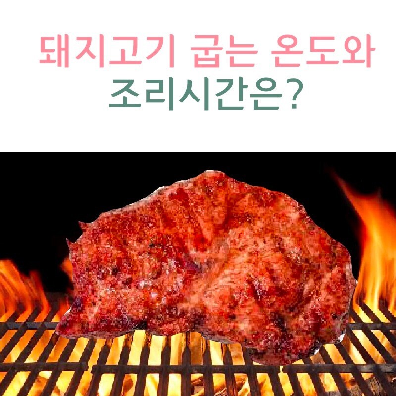 고기온도 이미지