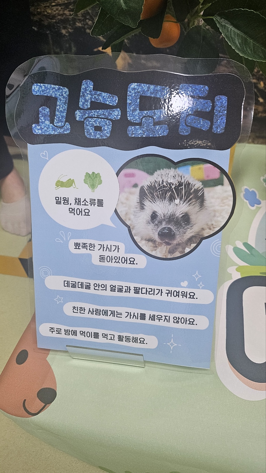 공감펫토리 이미지
