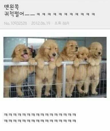 다 이미지