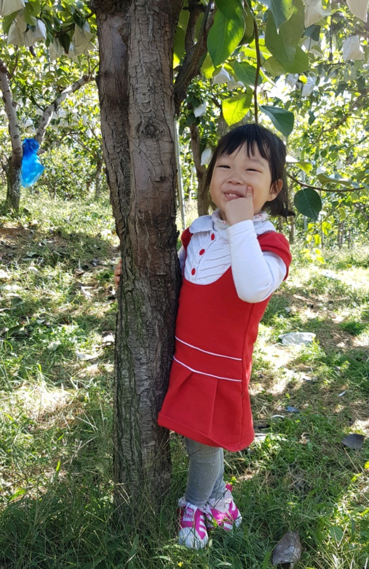 오렌지어린이집 이미지