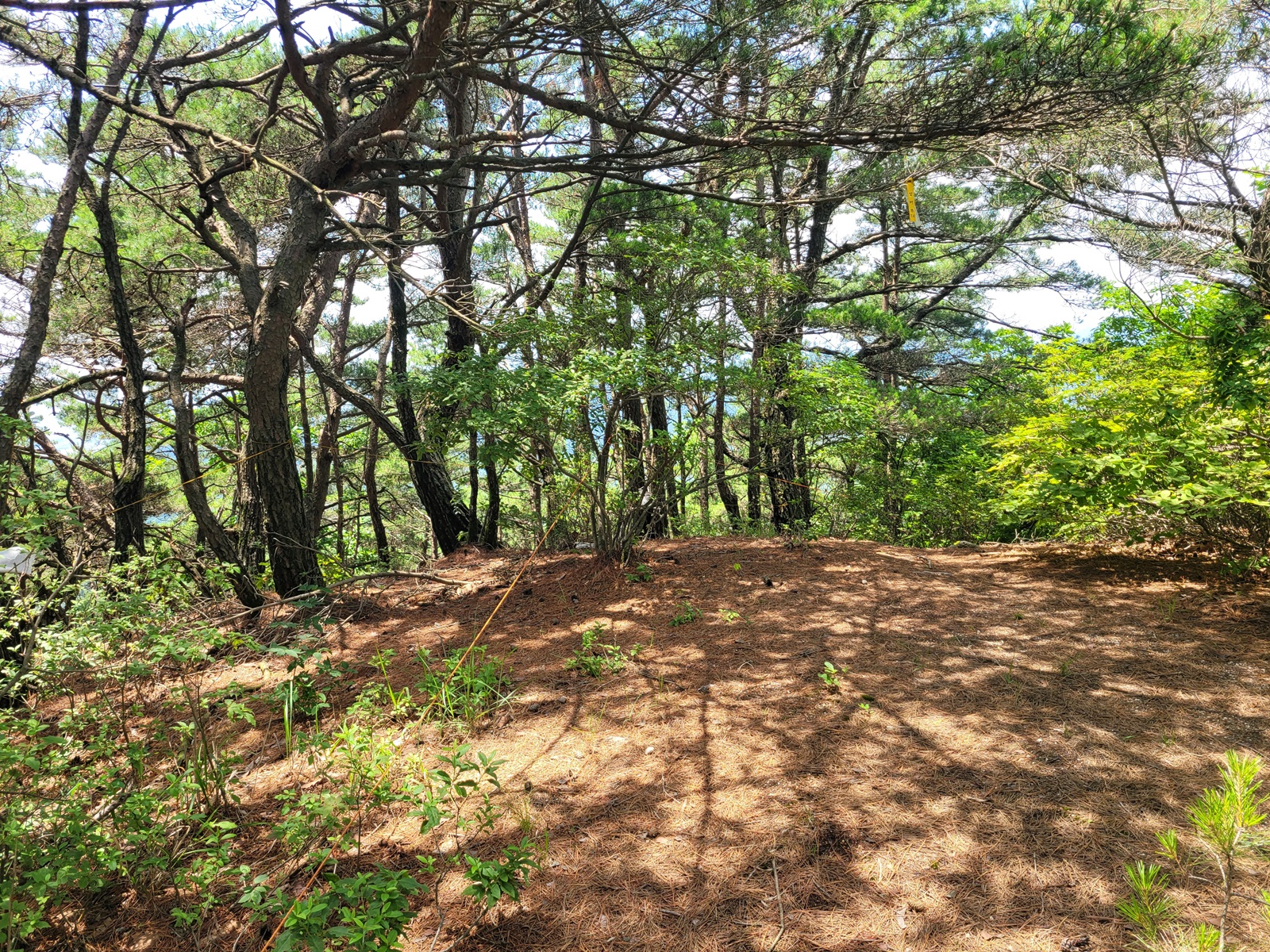 인산마을 이미지