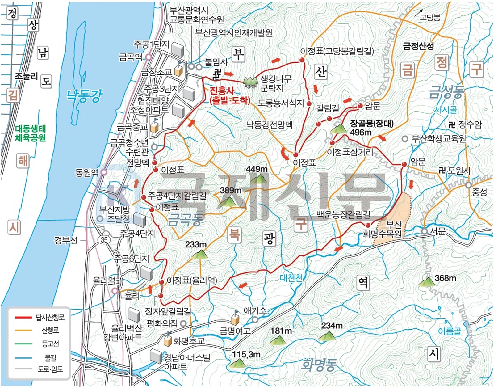 정자나무 사진 3
