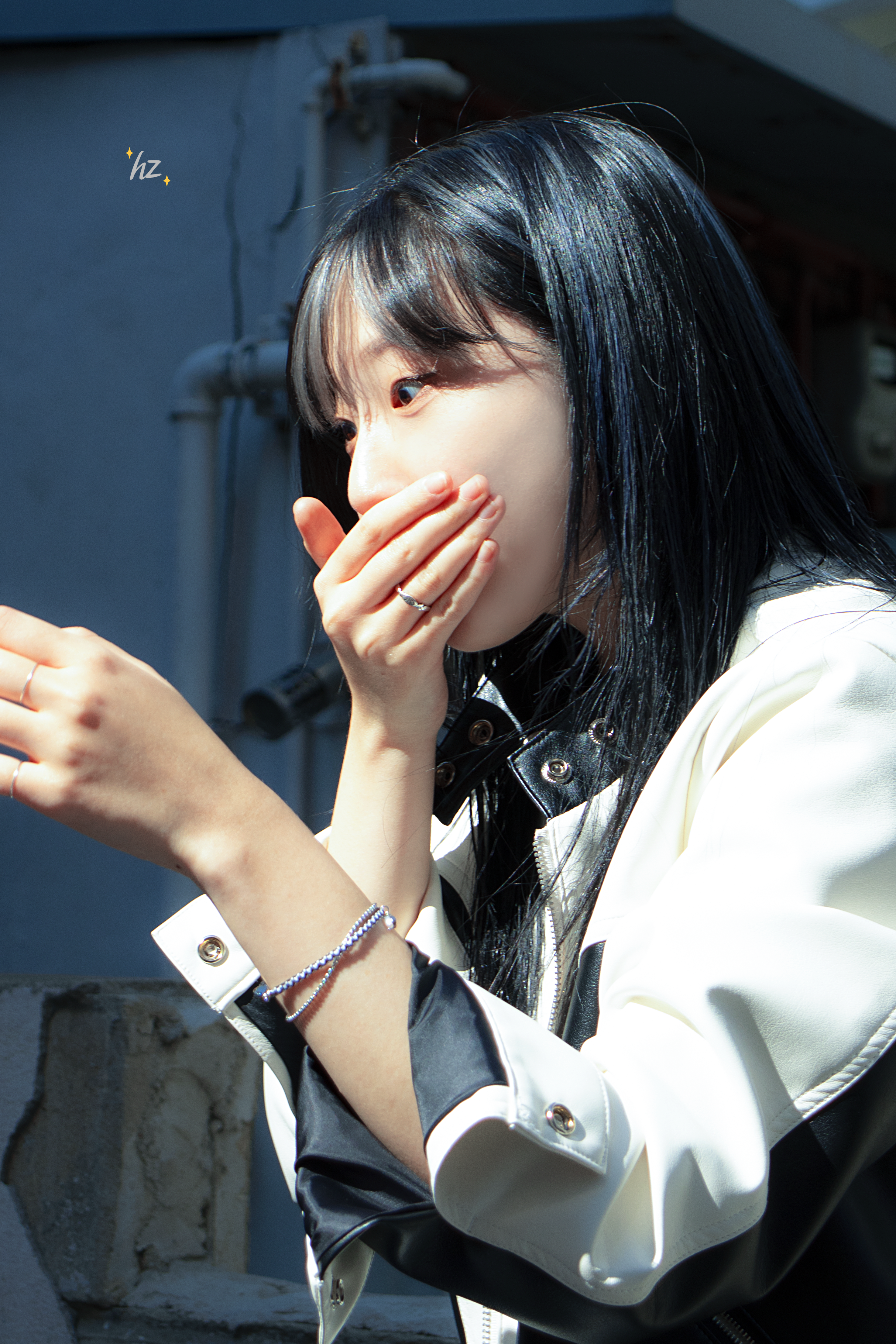 디마 이미지