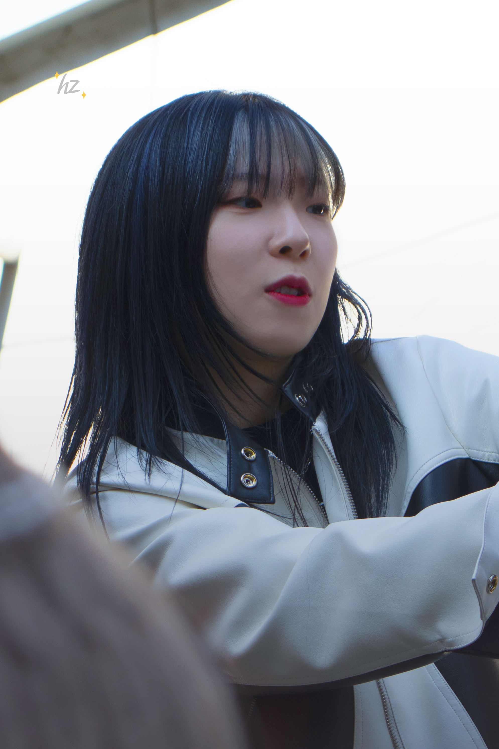 디마 이미지