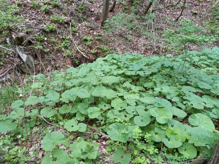 괴산가스충전소 이미지