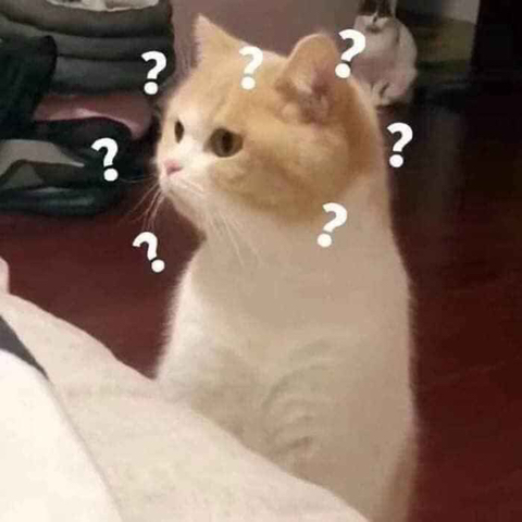 마니 이미지