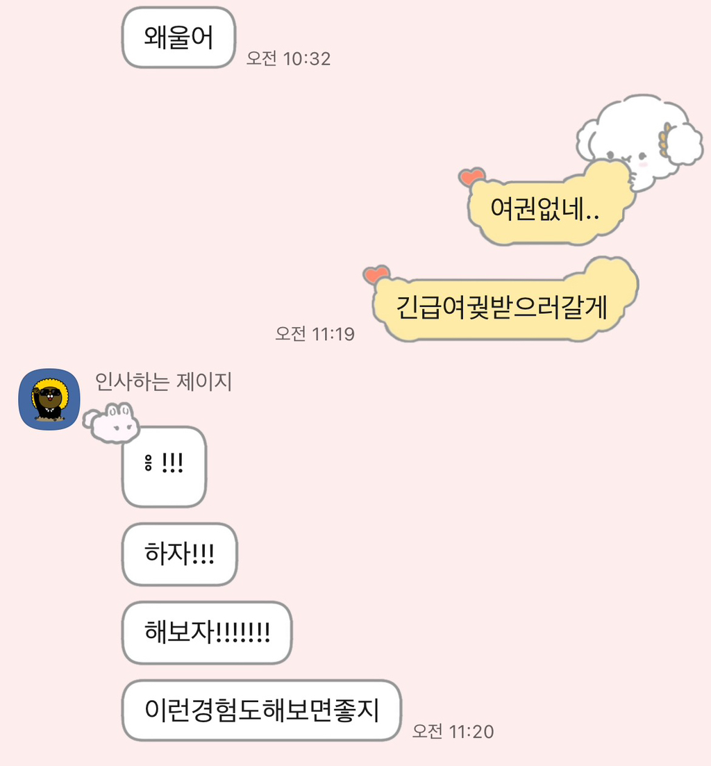 연이가 이미지