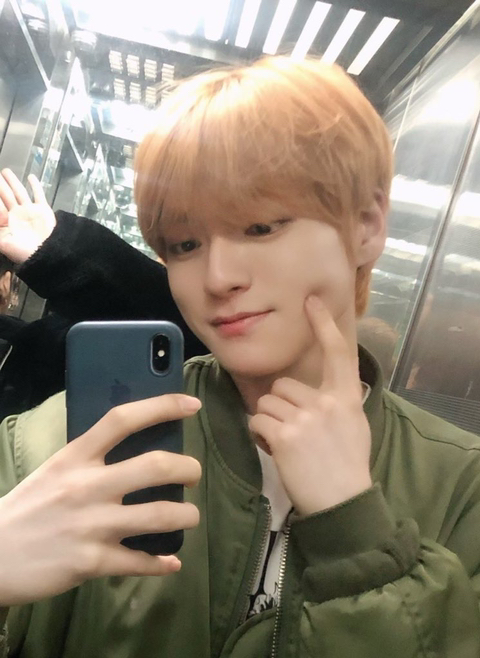 오렌지노래팡팡 이미지