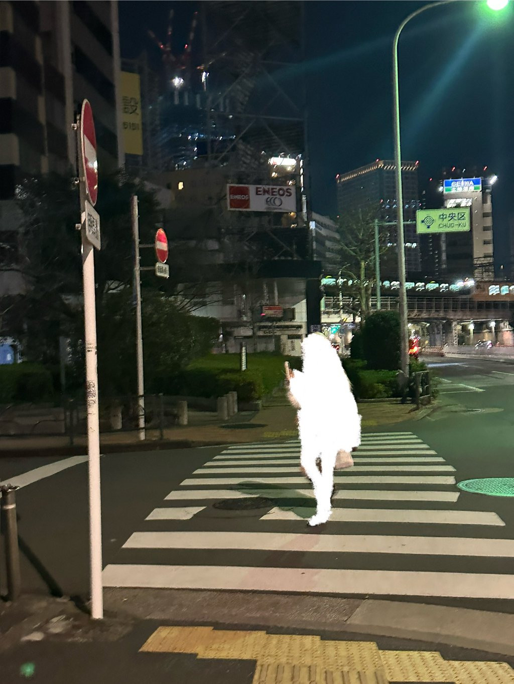 연이가 이미지
