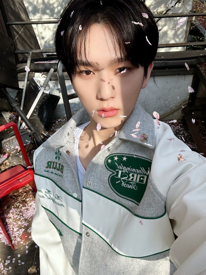 말랑콩떡 이미지