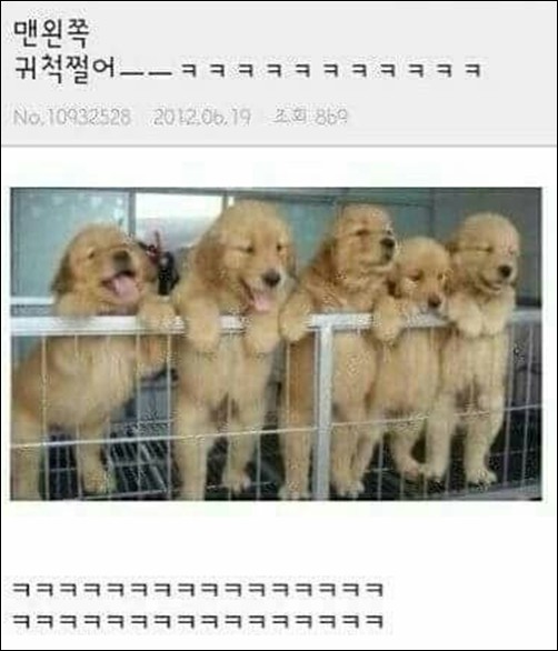 예준 이미지